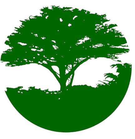 tree logo transparent